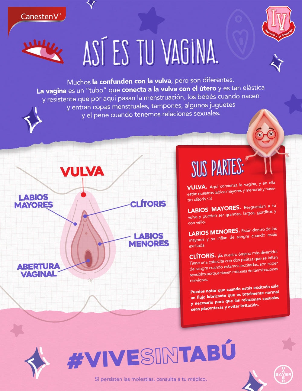 Anatomía ¿Cuáles son las partes de la Vagina?